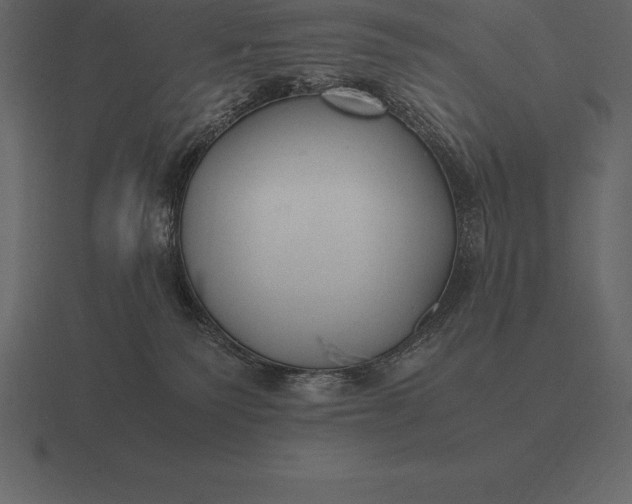 X0000116560135200912241622