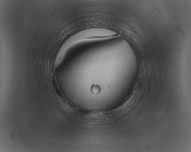 X0000116560136200912241622