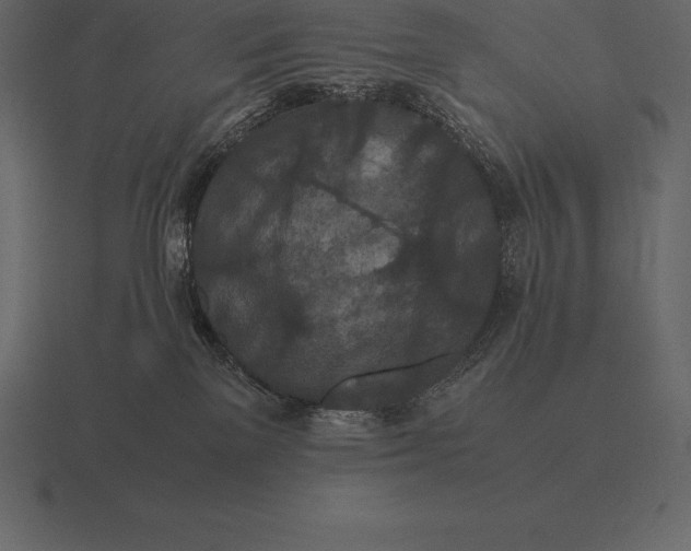 X0000116560137200912241622