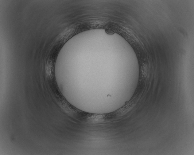 X0000116560138200912241622