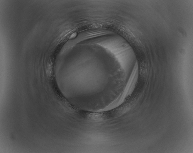 X0000116560139200912241622