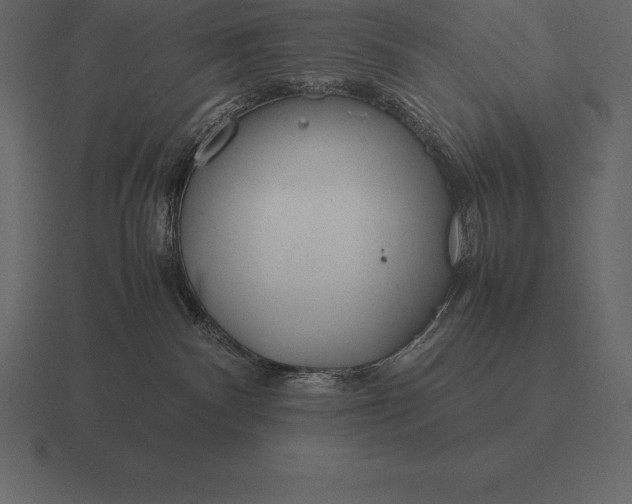 X0000116560140200912241622