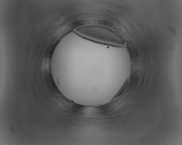 X0000116560141200912241622