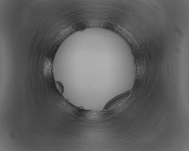 X0000116560142200912241622