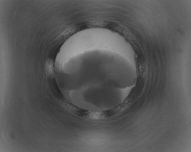 X0000116560143200912241622