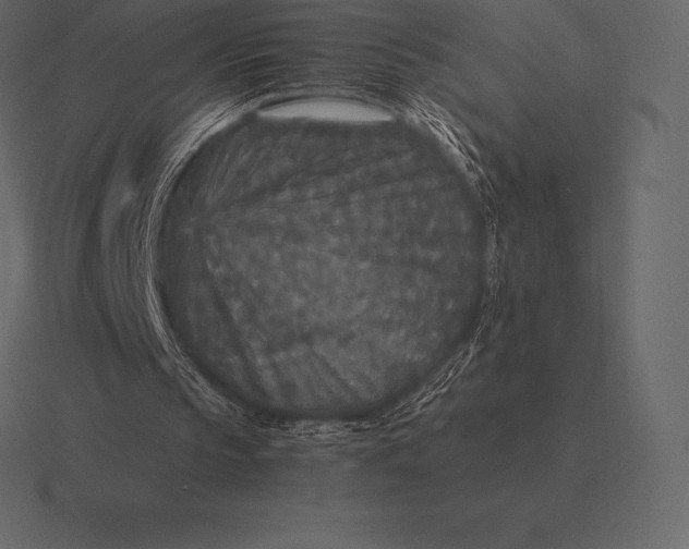 X0000116560145200912241621