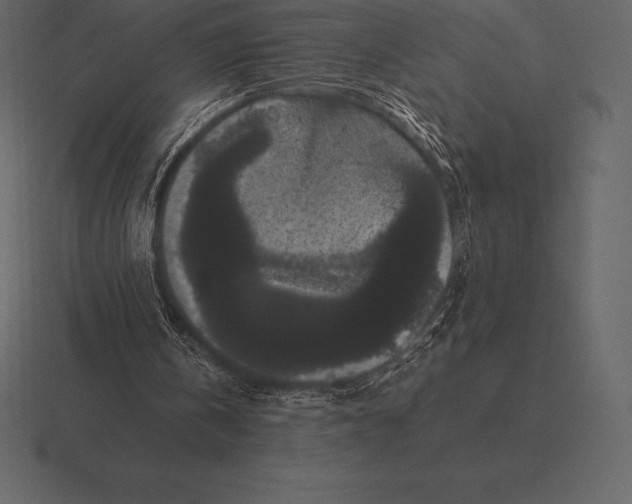 X0000116560146200912241621