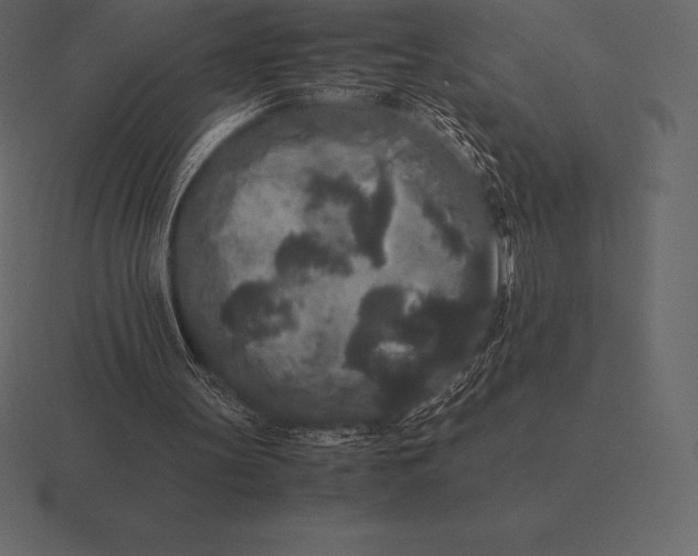 X0000116560147200912241621