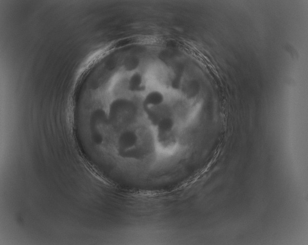 X0000116560149200912241621