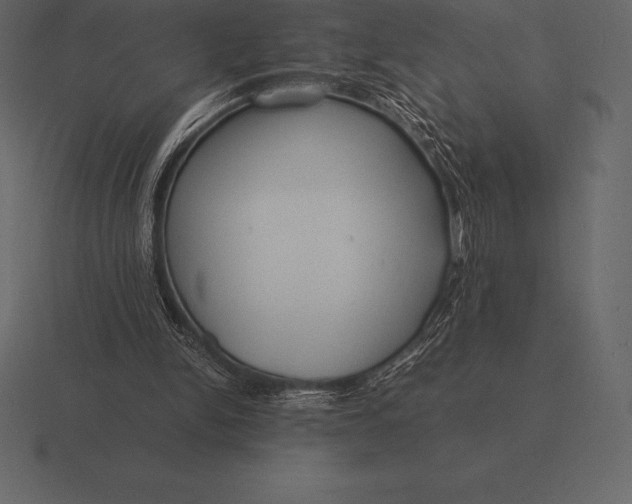 X0000116560150200912241621