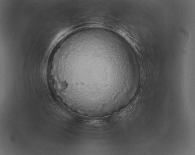 X0000116560151200912241621