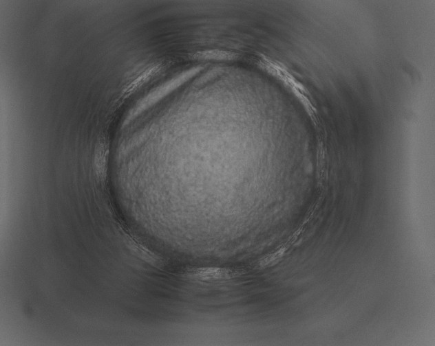 X0000116560153200912241621