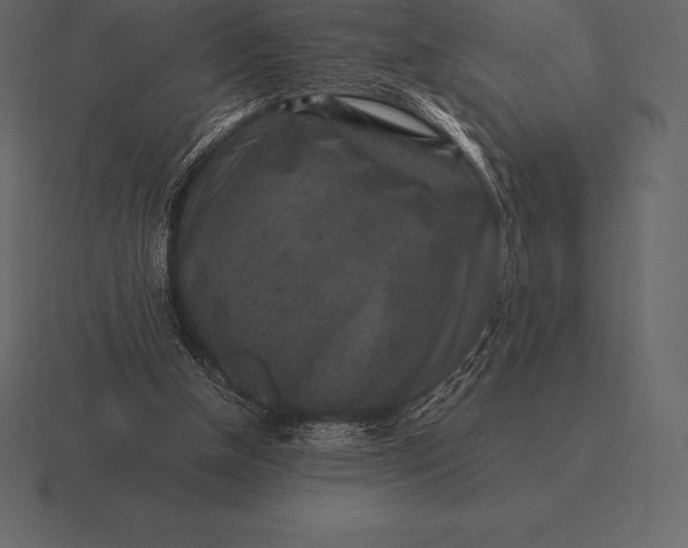 X0000116560154200912241621