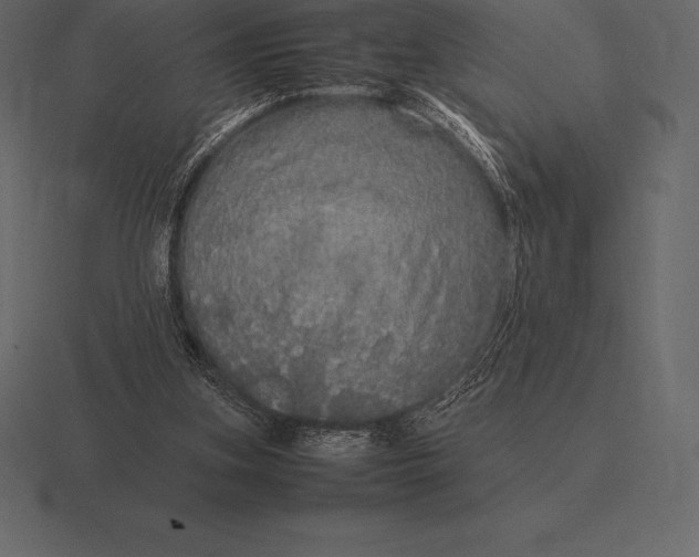 X0000116560155200912241621