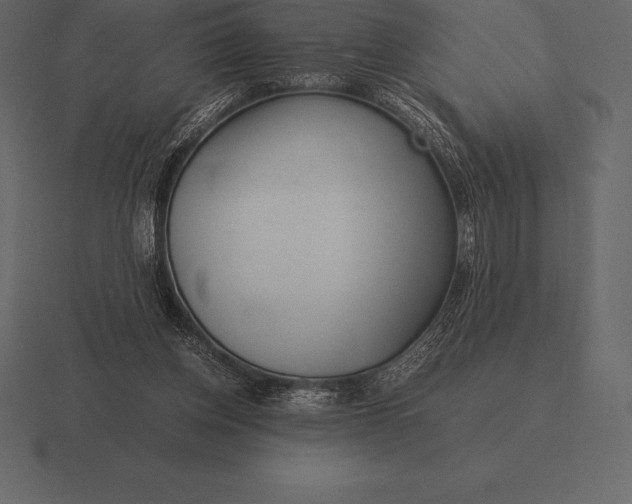 X0000116560158200912241621