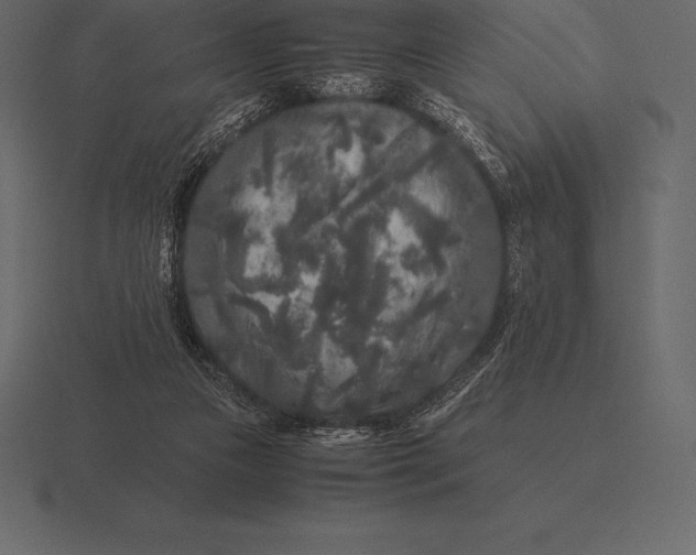 X0000116560161200912241621