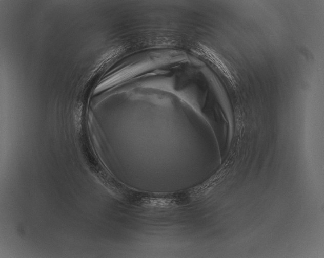 X0000116560163200912241621