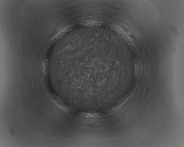 X0000116560165200912241621