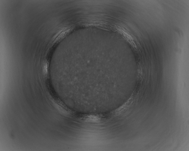 X0000116560166200912241621