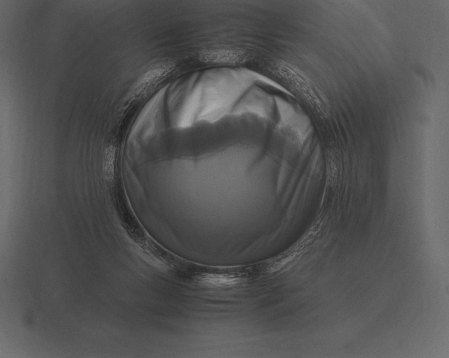 X0000116560167200912241621