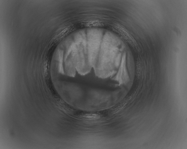 X0000116560169200912241622