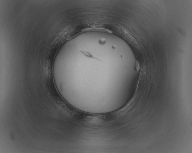 X0000116560170200912241622