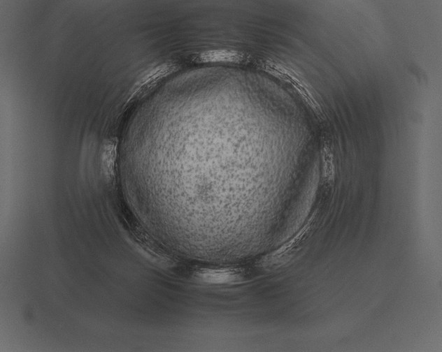 X0000116560171200912241622