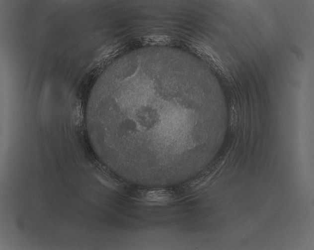 X0000116560173200912241622