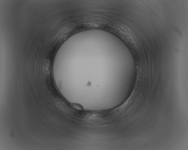 X0000116560174200912241622