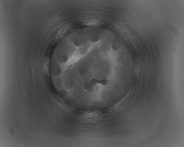 X0000116560175200912241622