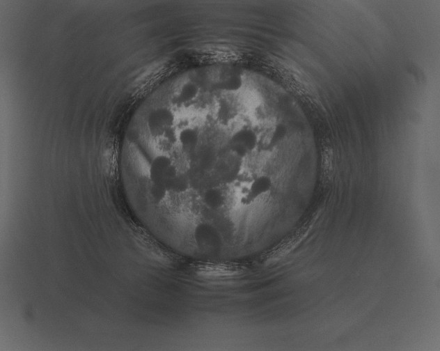 X0000116560177200912241622