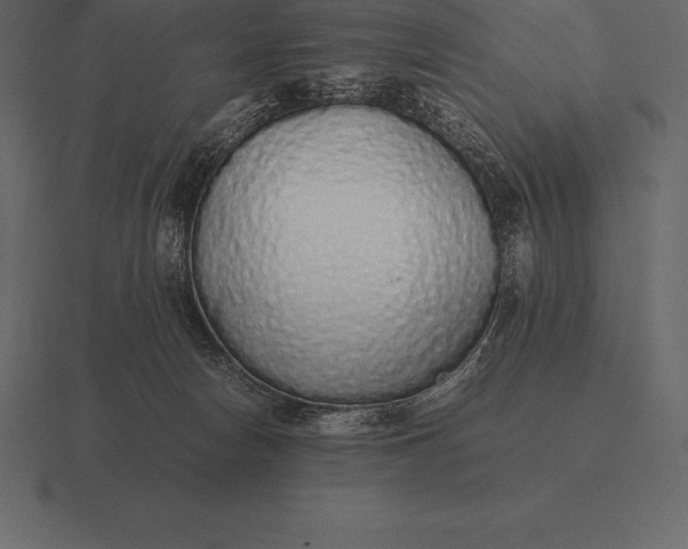 X0000116560178200912241622