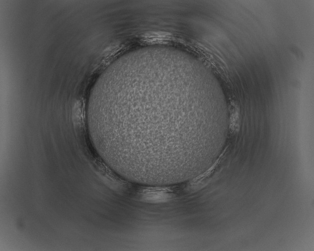 X0000116560179200912241622