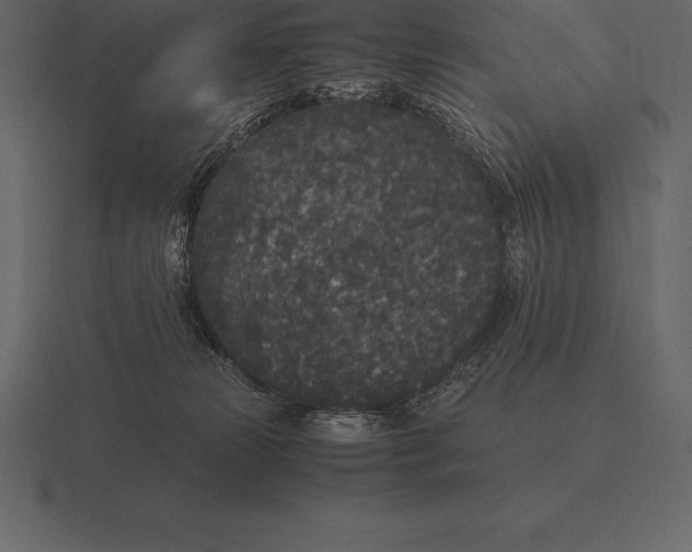 X0000116560181200912241622