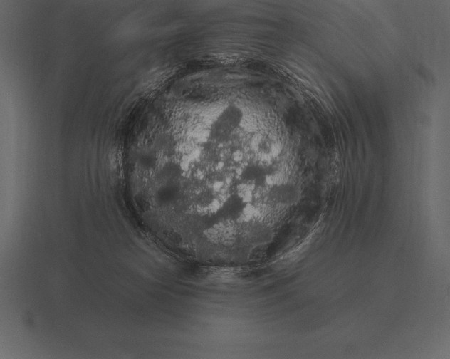 X0000116560182200912241622