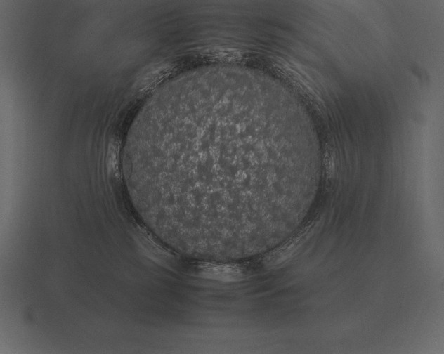 X0000116560185200912241622