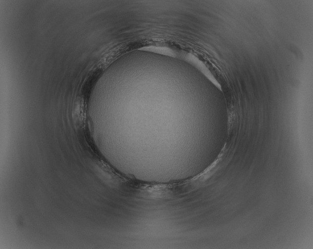 X0000116560186200912241622