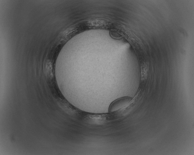 X0000116560187200912241622