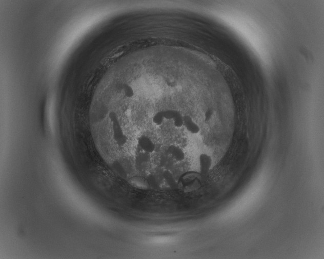 X0000116560189200912241622