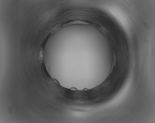 X0000116560190200912241622