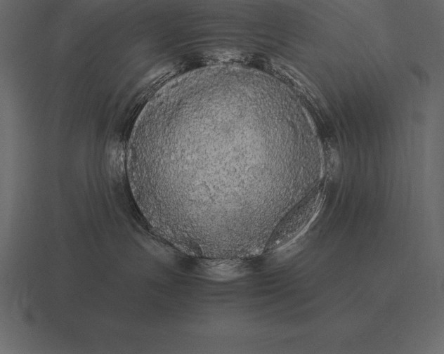 X0000116560191200912241622