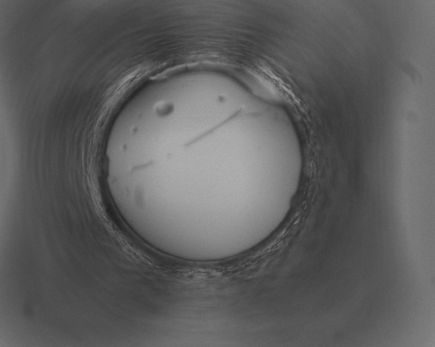 X0000116560193200912241621