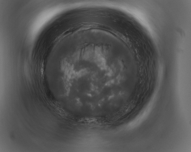 X0000116560194200912241621