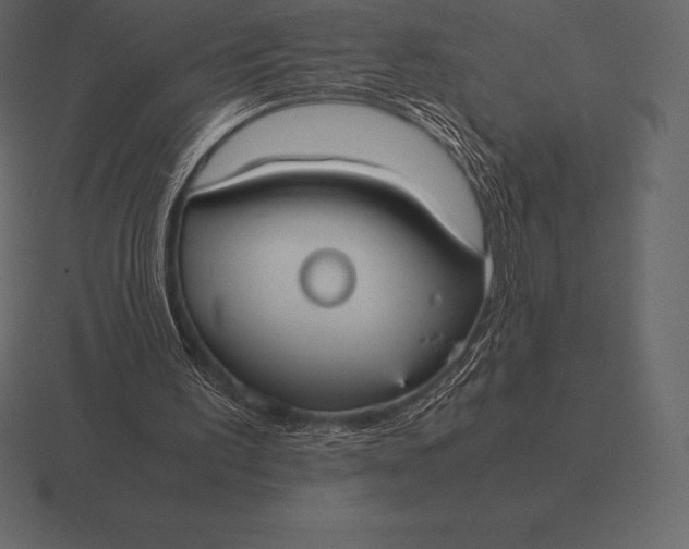 X0000116560195200912241621