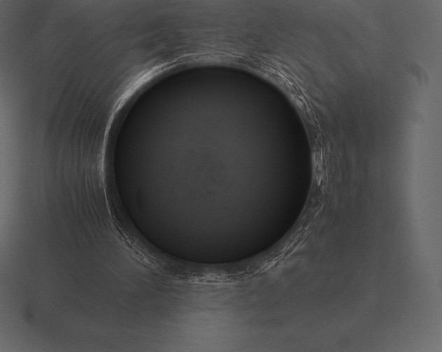 X0000116560196200912241621