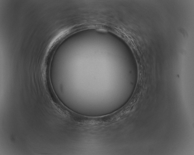 X0000116560197200912241621