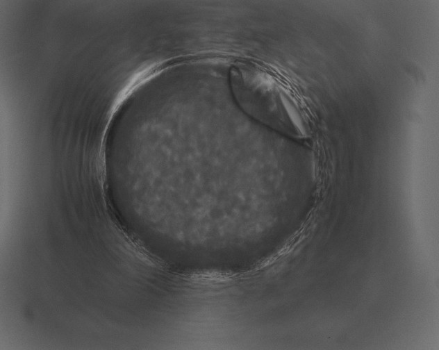 X0000116560198200912241621