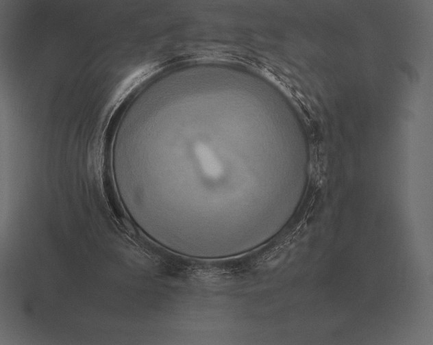 X0000116560199200912241621