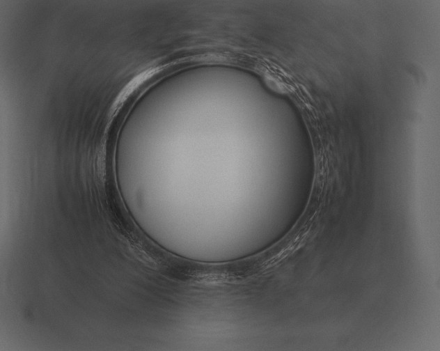 X0000116560200200912241621