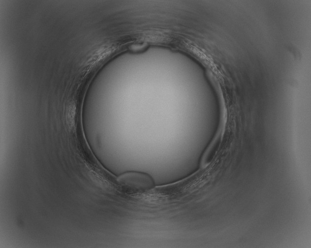 X0000116560201200912241621